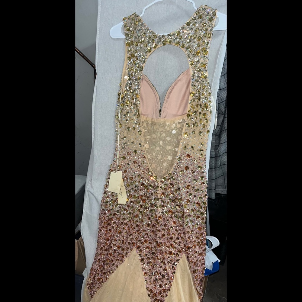 Jasz Couture Dress 4614 Prom Rhinestone Pink Nude Evening Dress Plus Size - Picture 6 of 11